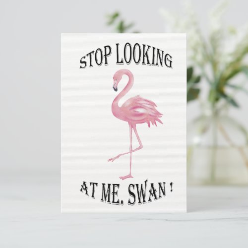 Stop Looking at me Swan