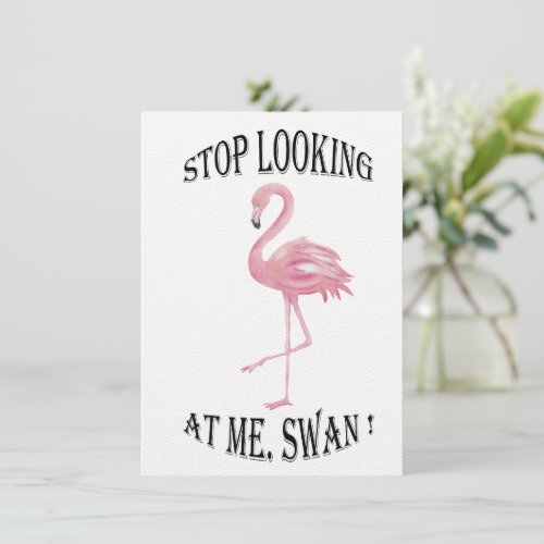 Stop Looking at me Swan