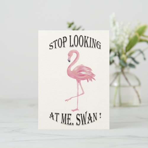 Stop Looking at me Swan Announcement