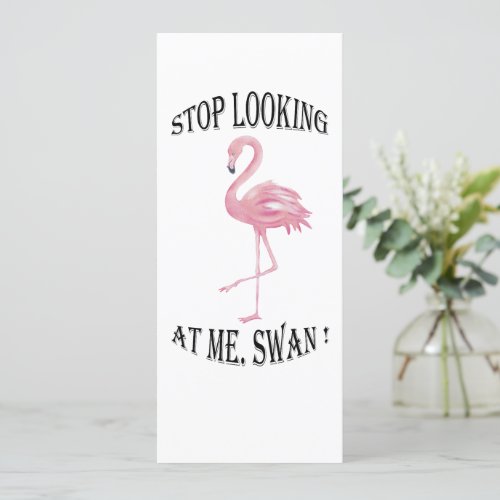 Stop Looking at me Swan Announcement