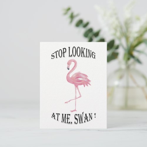 Stop Looking at me Swan Announcement