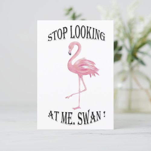 Stop Looking at me Swan Announcement