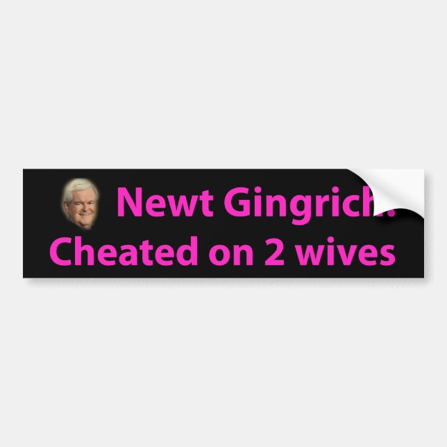 Stop Newt Gingrich! Bumper Sticker (Front)