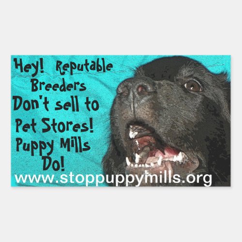 Stop Puppy Mills Magnet Rectangular Sticker