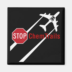 Stop Sign Plane Aerosol Trails LadyBug Magnet