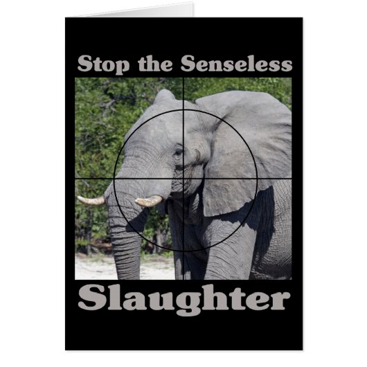 Stop Slaughter-Elephant Cards (Front)