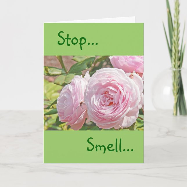 "STOP...SMELL...AND REMEMBER THE ROSE'S SWEET ..." CARD (Front)