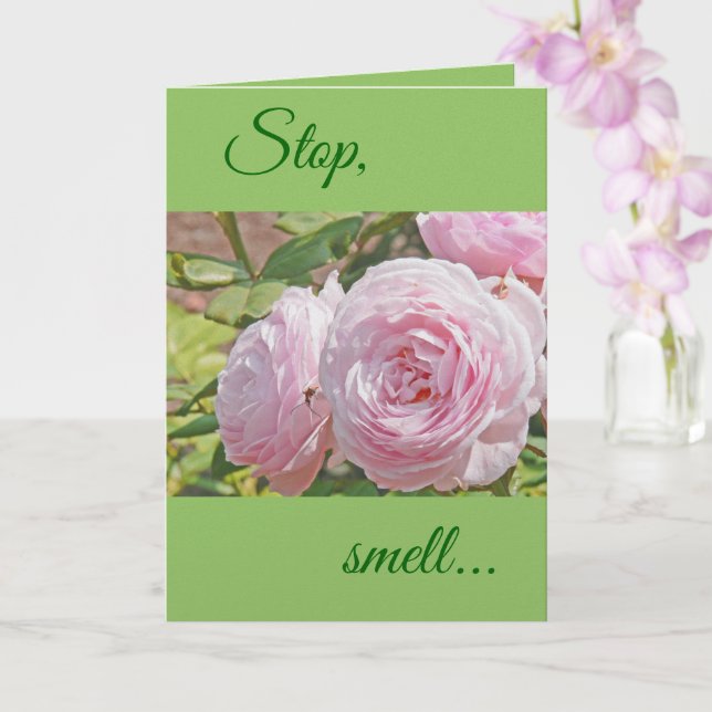 "STOP...SMELL...AND REMEMBER THE ROSE'S SWEET ..." CARD (Orchid)
