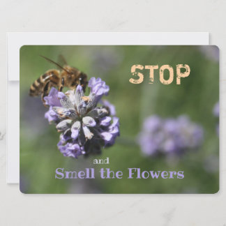 Stop Smell Flowers Quote