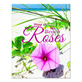 Stop & Smell the Beach Roses Photo Print