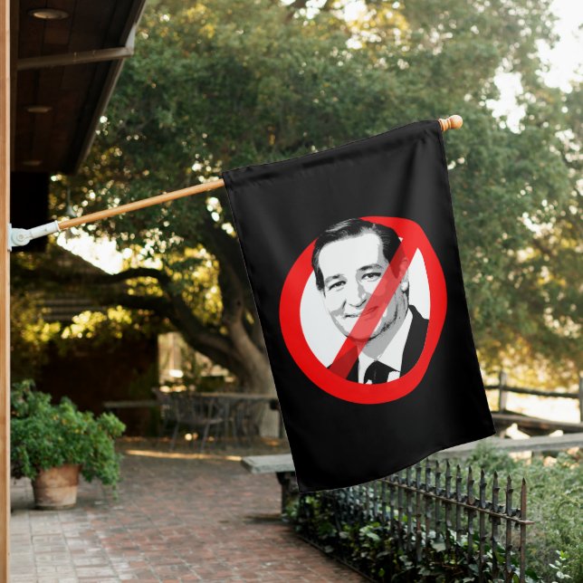 STOP TED CRUZ HOUSE FLAG (In SItu)