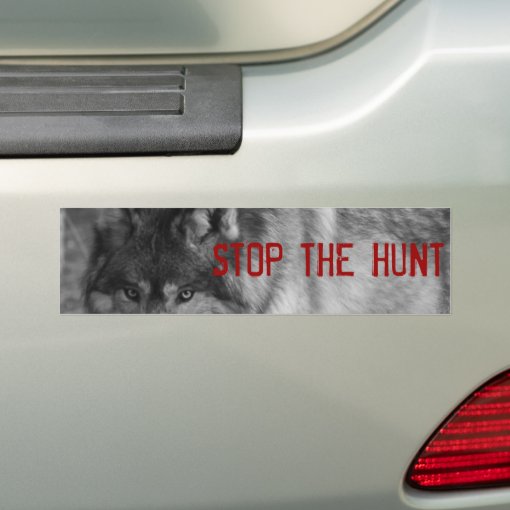 "StoP THE HUNT" Wild Wolf Bumper Sticker Zazzle