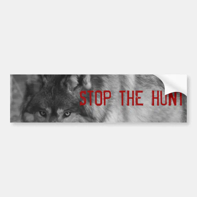 "StoP THE HUNT" Wild Wolf Bumper Sticker Zazzle