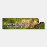 Stop the war on groundhog day bumper sticker