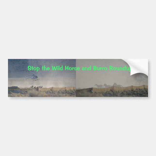 Stop the Wild Horse and Burro Roundups Bumper Sticker (Front)