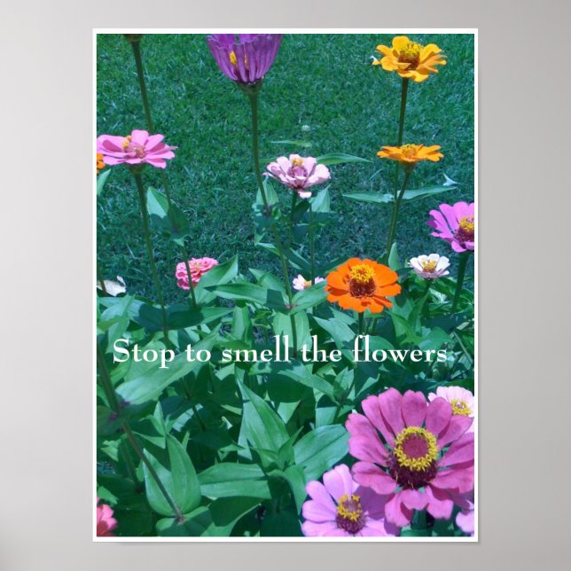 Stop to smell the flowers poster (Front)