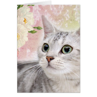 Stop To Smell The Roses Cards