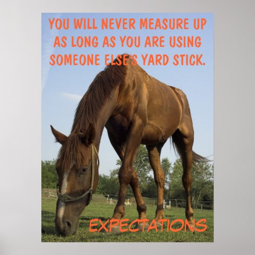 Stop trying to meet other peoples expectation L Poster