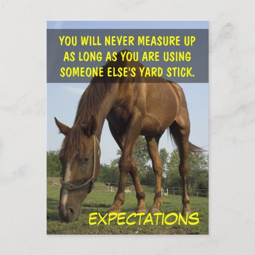 Stop trying to meet other peoples expectations postcard
