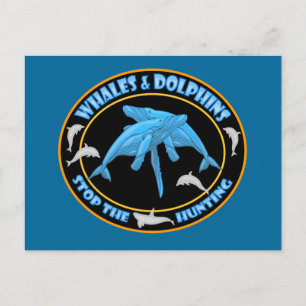 Stop Whale Hunting Postcards