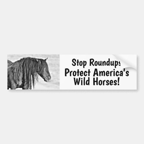 Stop Wild Horse Roundups Bumper Sticker