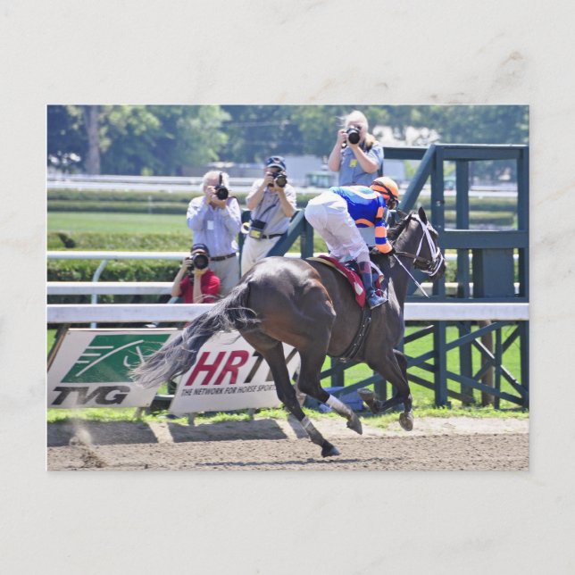 Stopchargingmaria victorious in her first race. postcard (Front)