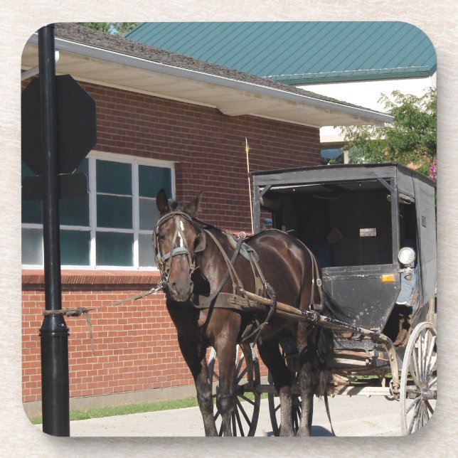 Stopped for a Spell, An Amiish Horse at stop sign Beverage Coaster (Front)
