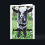 STOPPING BY ON *12th** BIRTHDAY to ONE GREAT "KID" Card<br><div class="desc">THANKS FOR STOPPING BY ONE OF MY EIGHT STORES. HAPPY 12th to A SPECIAL CHILD IN YOUR LIVE WITH A AND A "CUTE LITTLE DONKEY" TOO!!!!!</div>