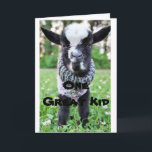 STOPPING BY ON *12th** BIRTHDAY to ONE GREAT "KID" Card<br><div class="desc">THANKS FOR STOPPING BY ONE OF MY EIGHT STORES. HAPPY 12th to A SPECIAL CHILD IN YOUR LIVE WITH A AND A "CUTE LITTLE DONKEY" TOO!!!!!</div>