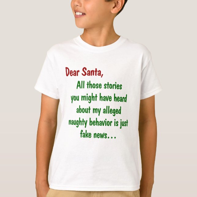 Stories of My Naughty Behavior is Fake News T-Shirt (Front)