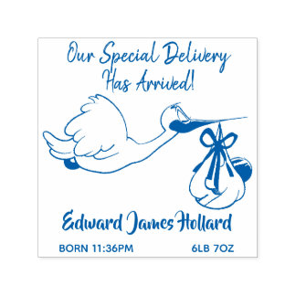 Stork and Baby Boy/Girl Birth Custom Rubber Stamp