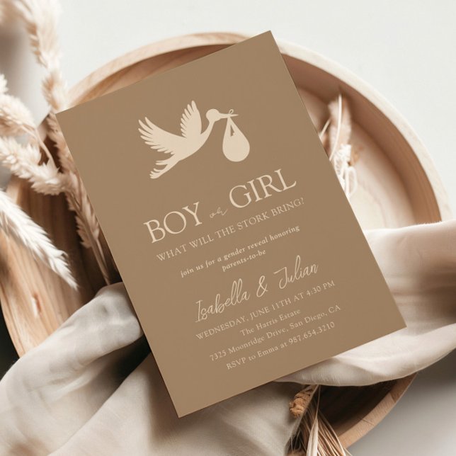 Stork Baby Delivery Boy Or Girl Gender Reveal Invitation (Creator Uploaded)