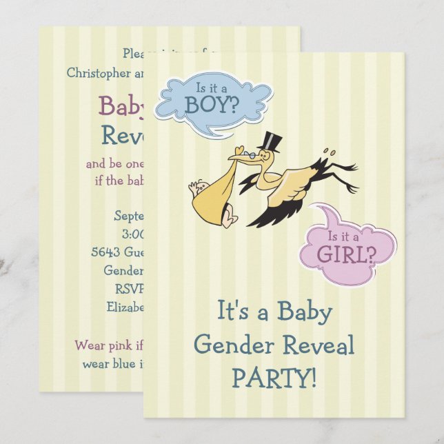 Stork Baby Gender Reveal Party Invitation (Front/Back)