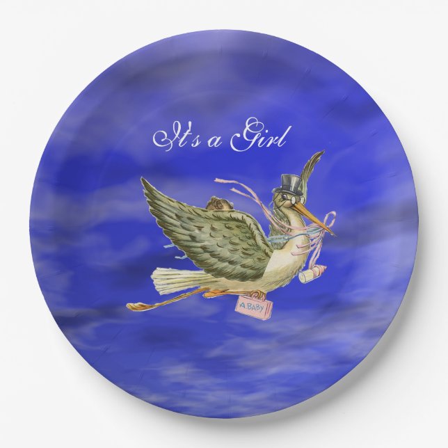 STORK BABY GIRL SHOWER  Blue Sky Paper Plates (Front)
