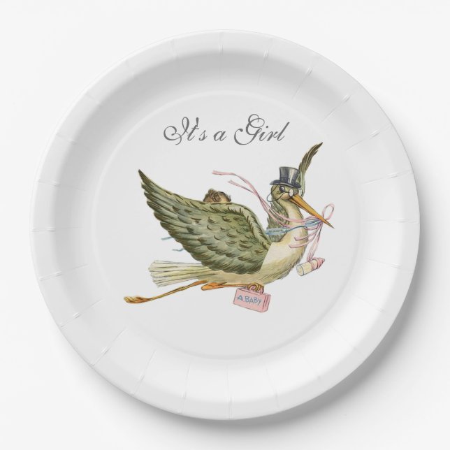 STORK BABY GIRL SHOWER White Paper Plates (Front)