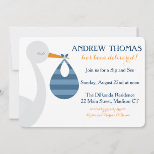 Stork Baby Invitation / Baby Announcement
