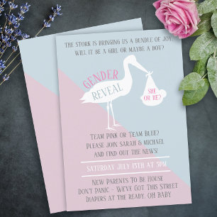 Stork Baby Pink or Blue Gender Reveal Invitation