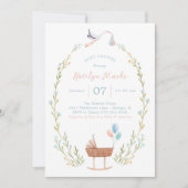 Stork Baby Shower Invitation Pink and Blue (Front)