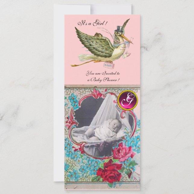 STORK BABY SHOWER MONOGRAM PHOTO TEMPLATE (Front)