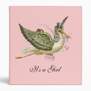 STORK BABY SHOWER ,pink Binder
