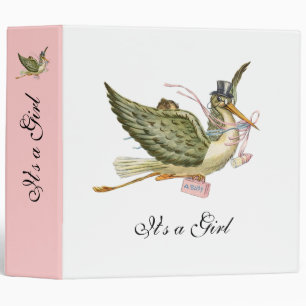 STORK BABY SHOWER ,pink white Binder