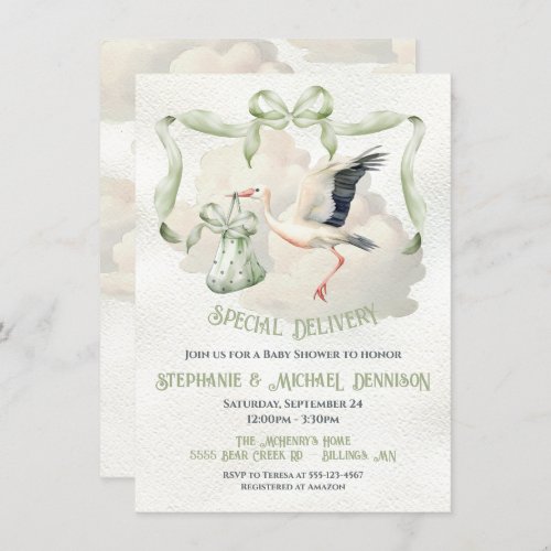 Stork Baby Shower Ribbon Bow Special Delivery Invitation
