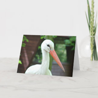 stork card