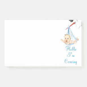 Stork Carrying Baby Funny Sticky Notes