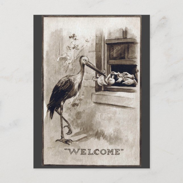 Stork Delivering Baby Vintage Postcard (Front)