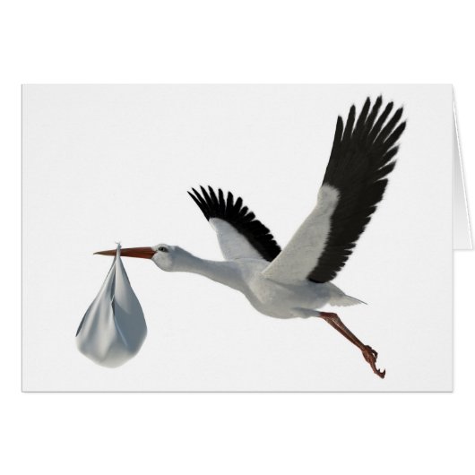 Stork Delivering Bundle Cards (Front Horizontal)