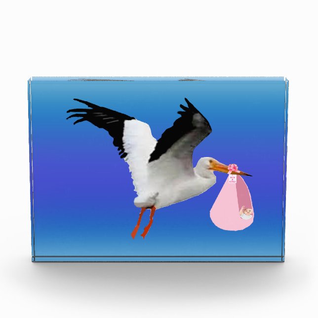 Stork Delivery Photo Block (Front)