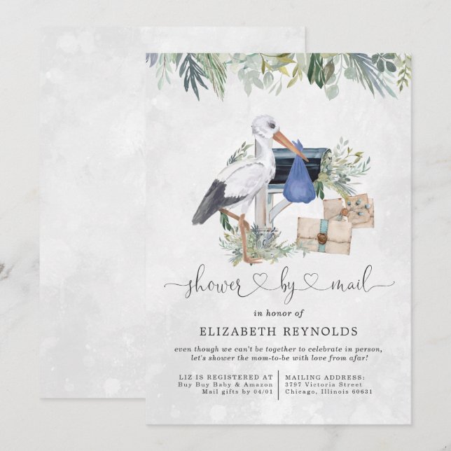 Stork Delivery | Virtual Baby Shower by Mail Invitation (Front/Back)
