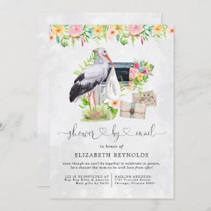 Stork Delivery Virtual Baby Shower by Mail Invitation