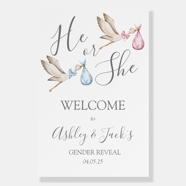 Stork Gender Reveal Welcome Sign (Front)